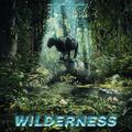 Wilderness