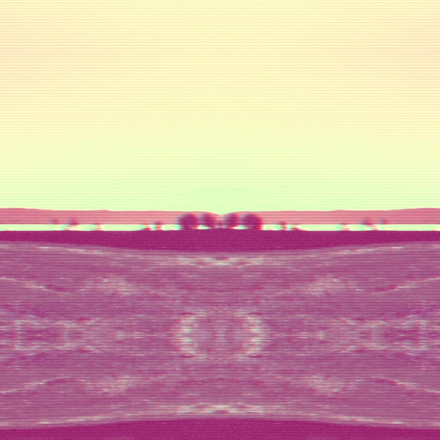 Hallucination