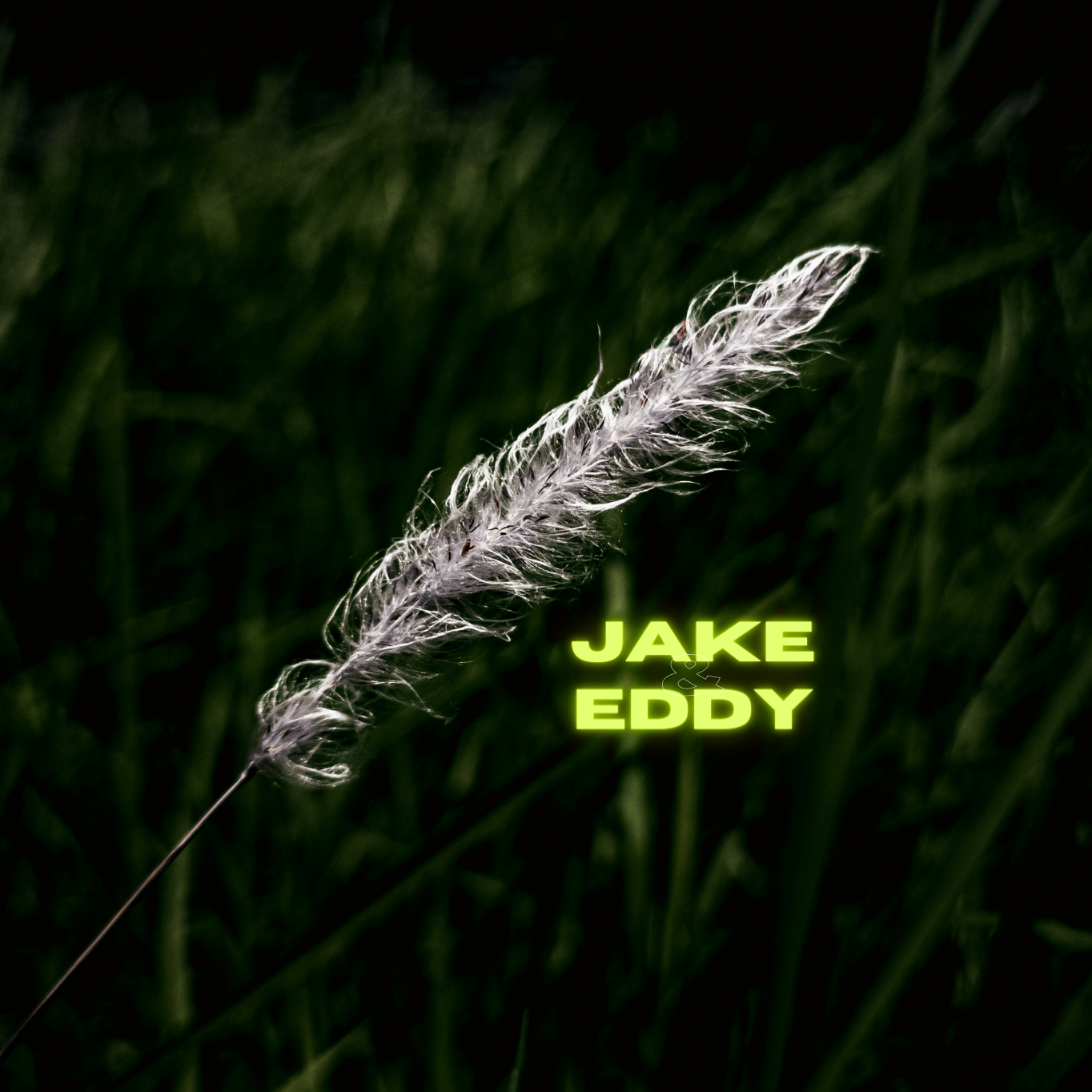 Jake & Eddy中文原创