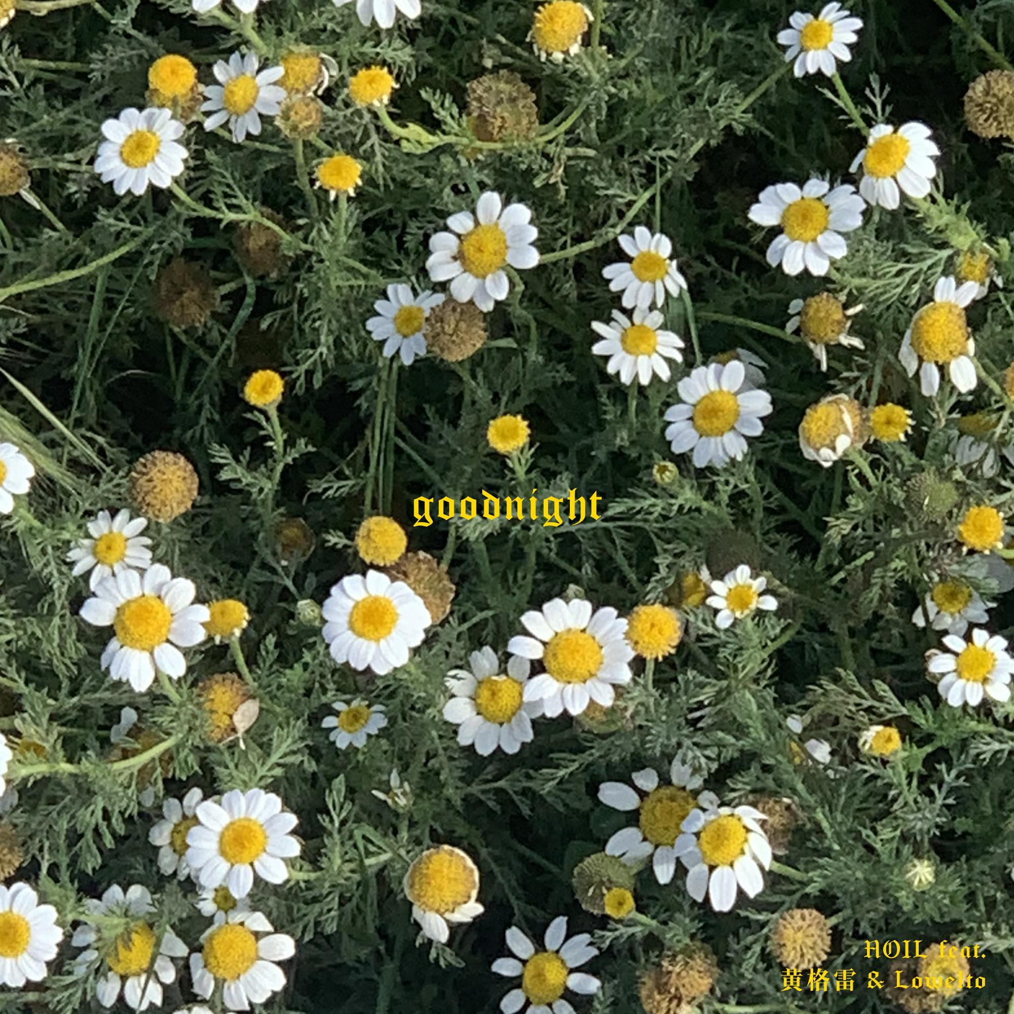 goodnight(feat.黃格雷)