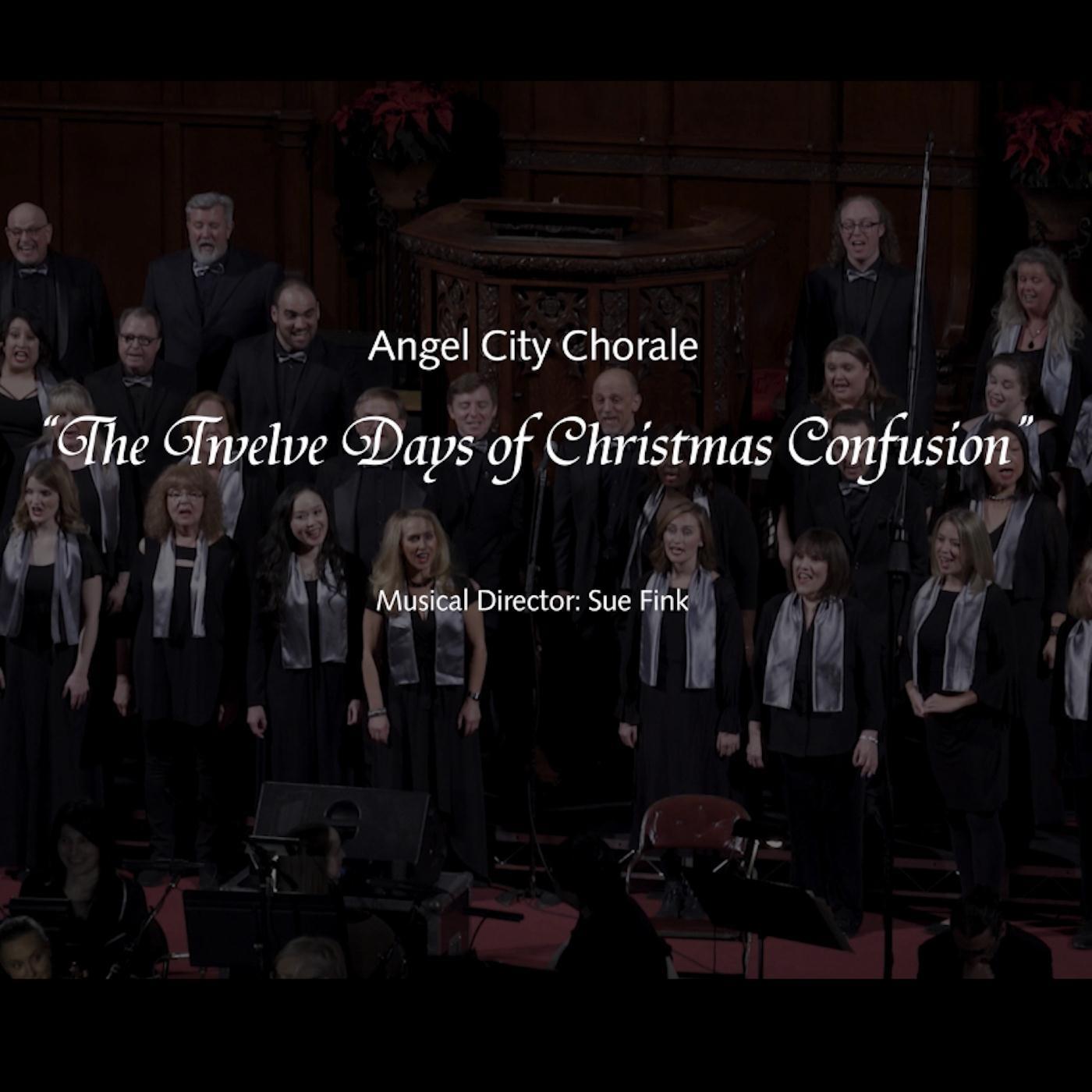 Twelve Days of Christmas Confusion (Live)