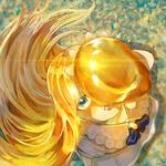 Amber/Sarracenia (feat. 可不)专辑