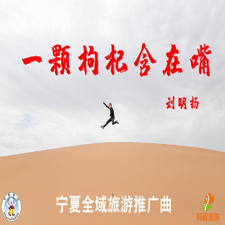 一颗枸杞含在嘴（宁夏全域旅游推广曲）