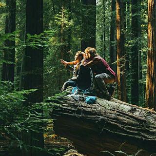 『电影原声』一群人的孤单也是种快乐