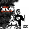Liberation - The Lost Tracks专辑