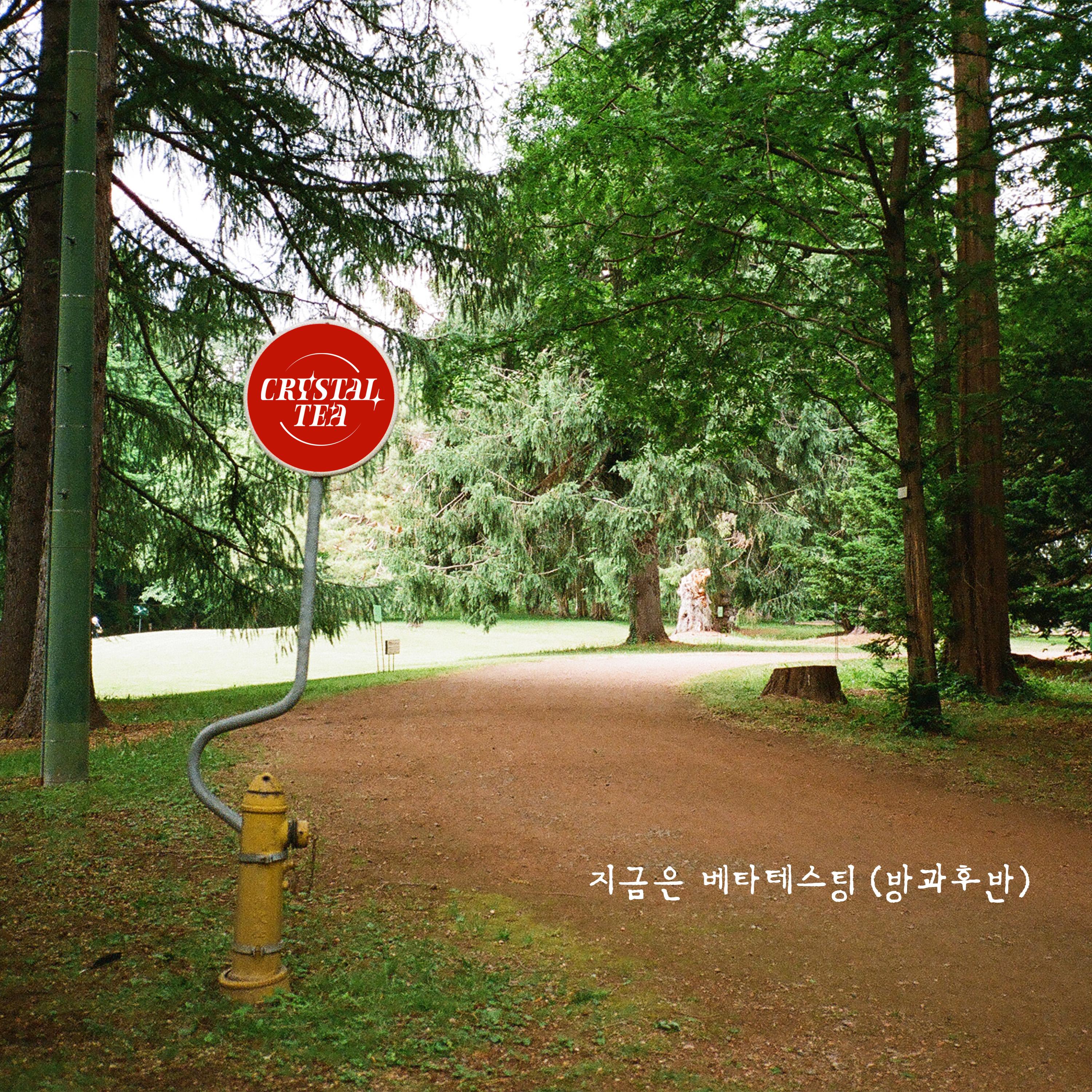 지금은 베타테스팅(방과후반)