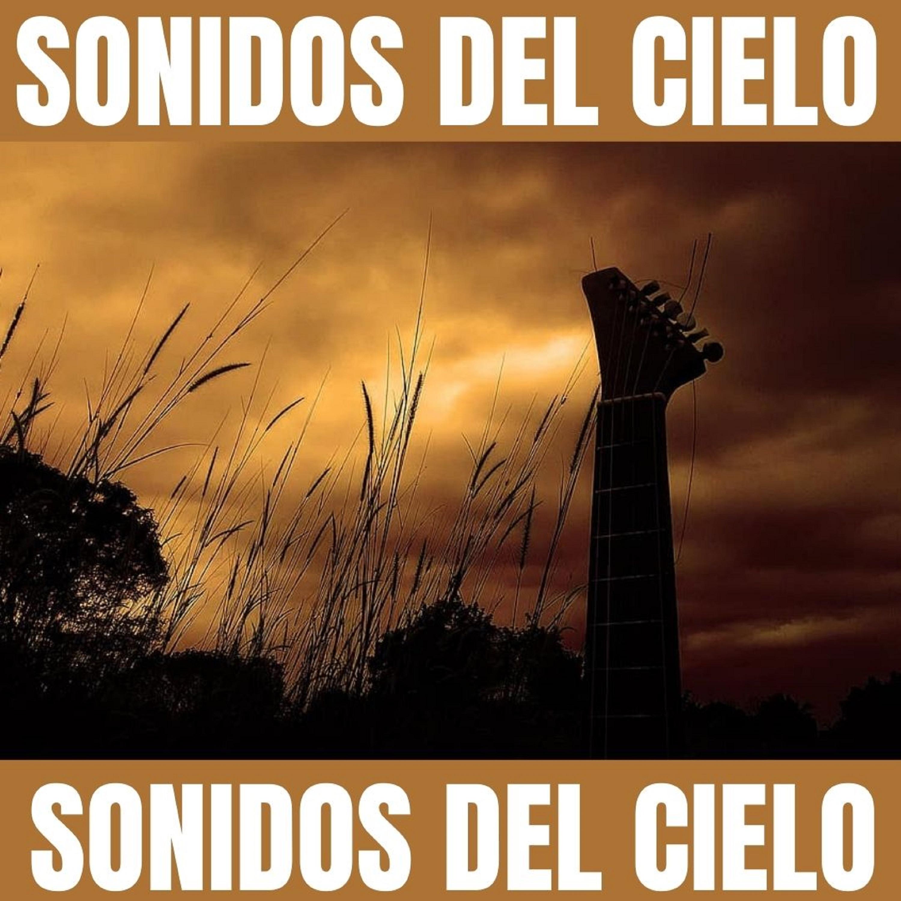 网易云音乐多端下载