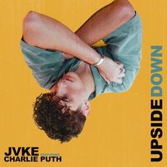 JVKE,Charlie Puth《Upside Down吉他谱》D调_节奏舒展自如