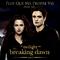 Plus que ma propre vie (From "The Twilight Saga: Breaking Dawn - Part 2")专辑