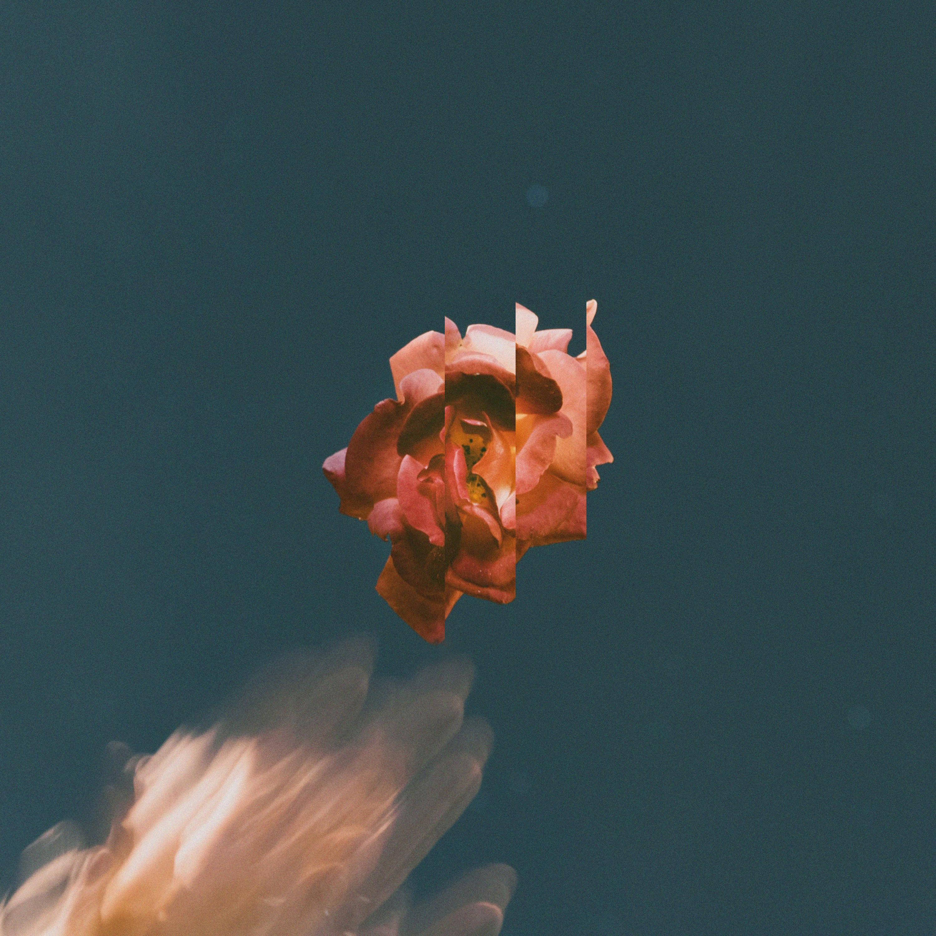 Separation