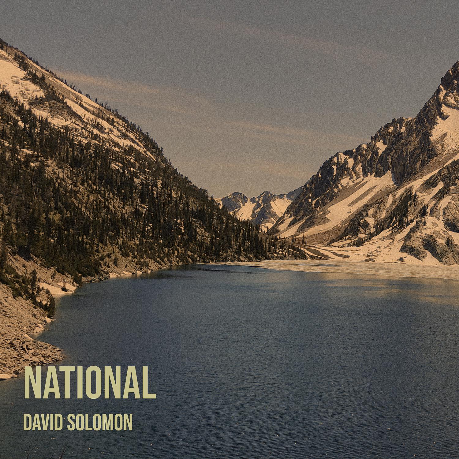 David Solomon - National