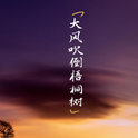 候泽润