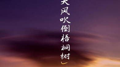 候泽润