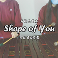 「Shape of You」marimba ft.柠露