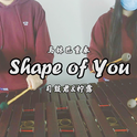 「Shape of You」marimba ft.柠露专辑