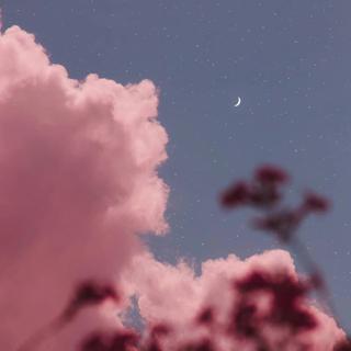 ChillWave | 藏于星夜晚风里的梦幻寒潮