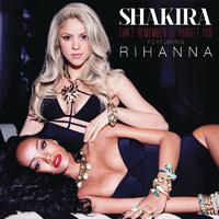 Can't Remember to Forget You - Shakira & Rihanna (karaoke) 带和声伴奏