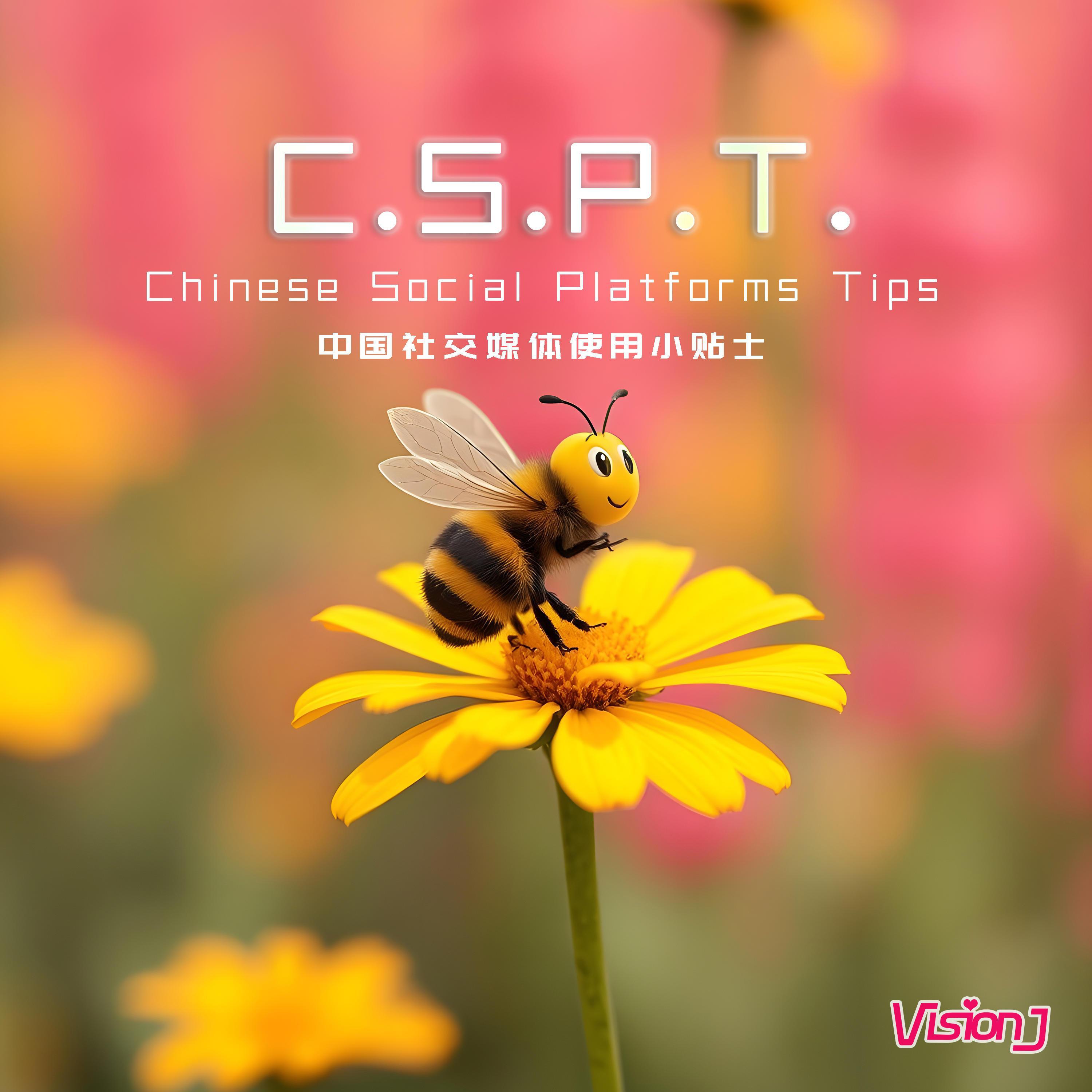 C.S.P.T.