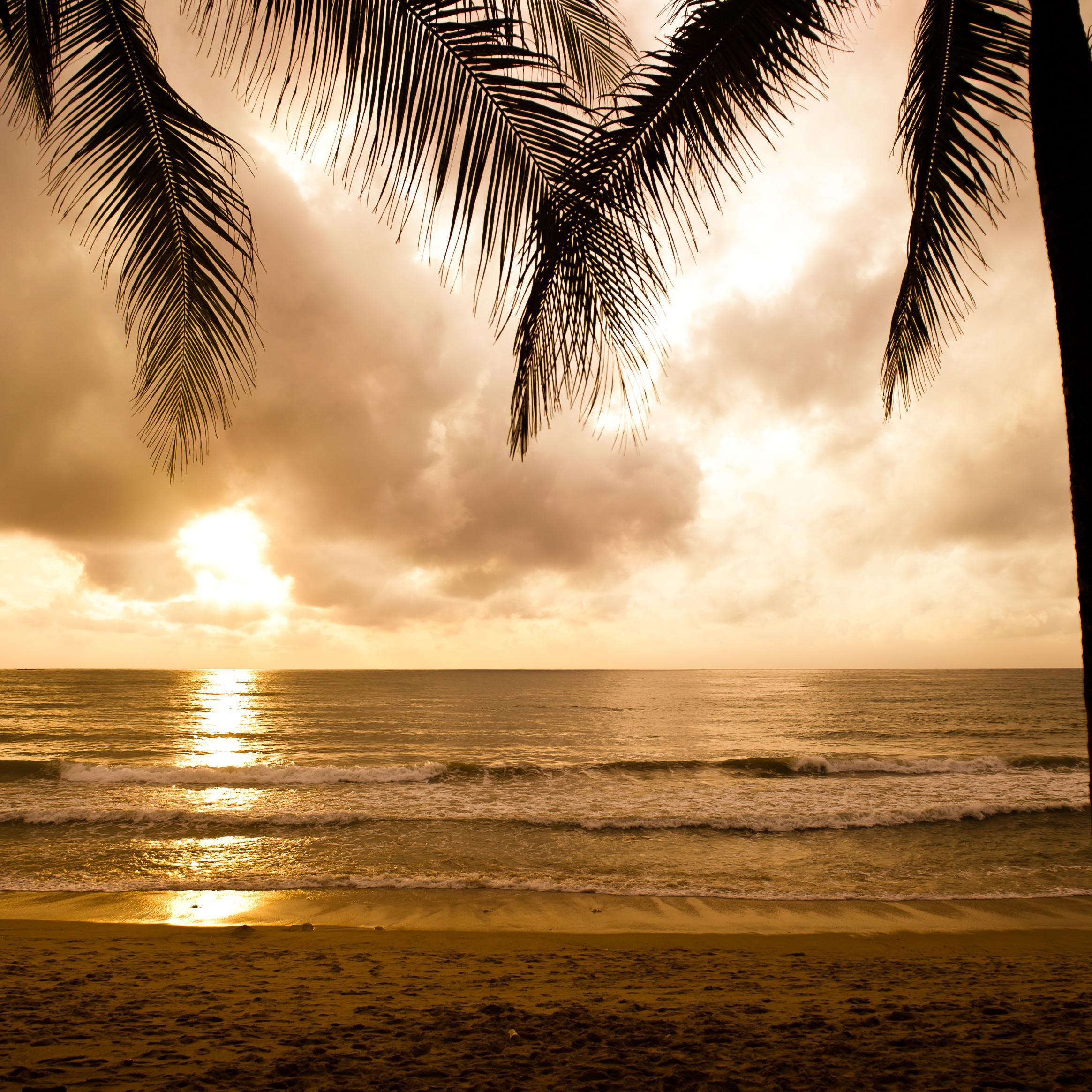 Daybreak