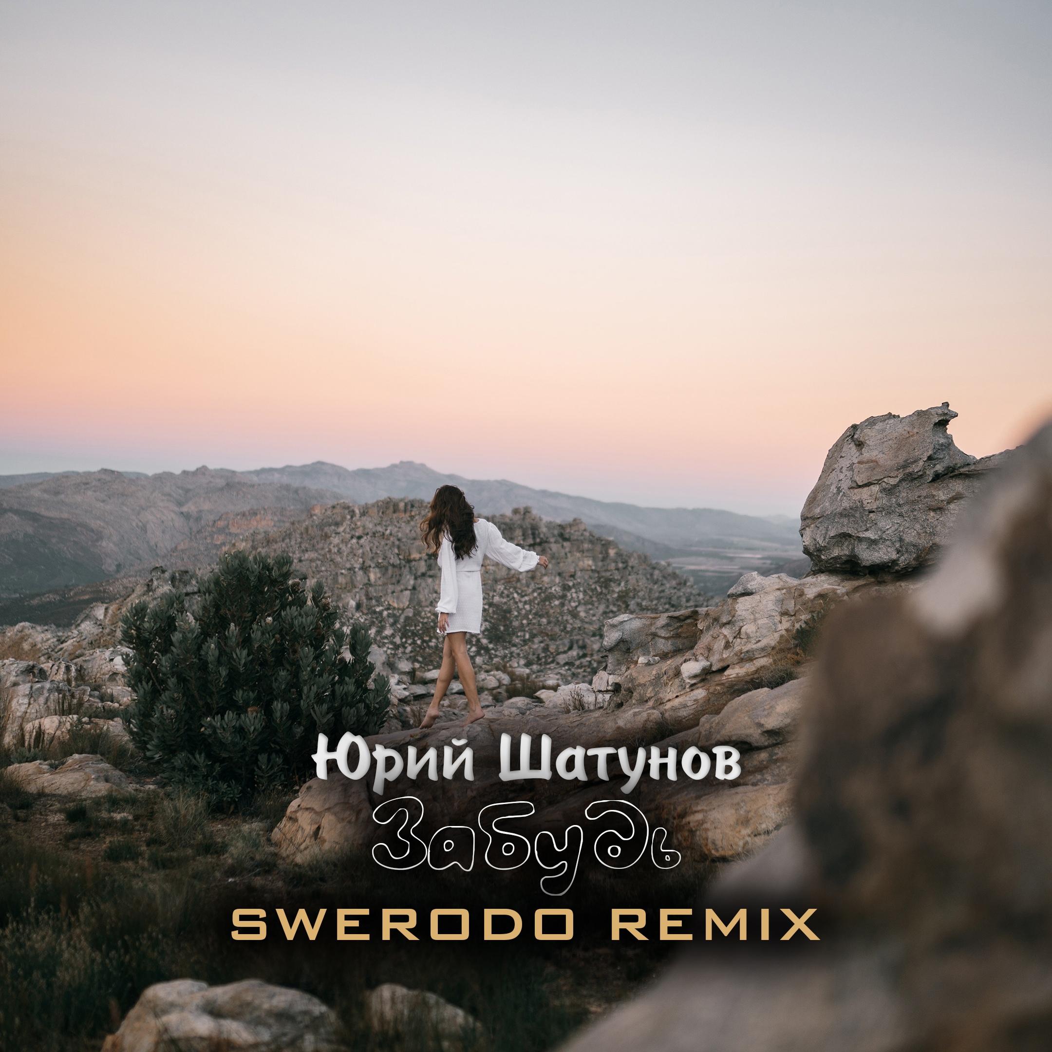 Забудь (SWERODO Remix)