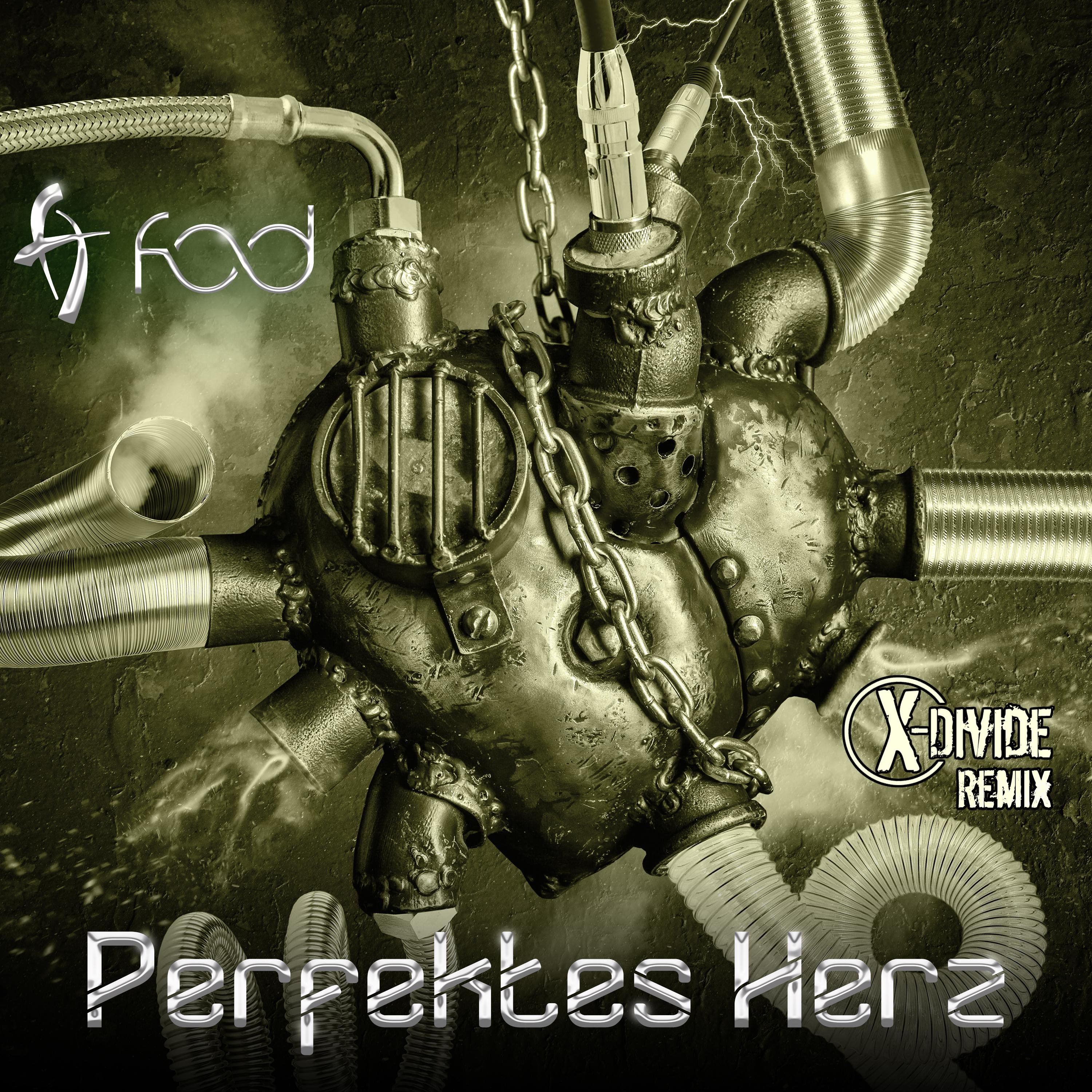 Perfektes Herz (X-Divide Remix)