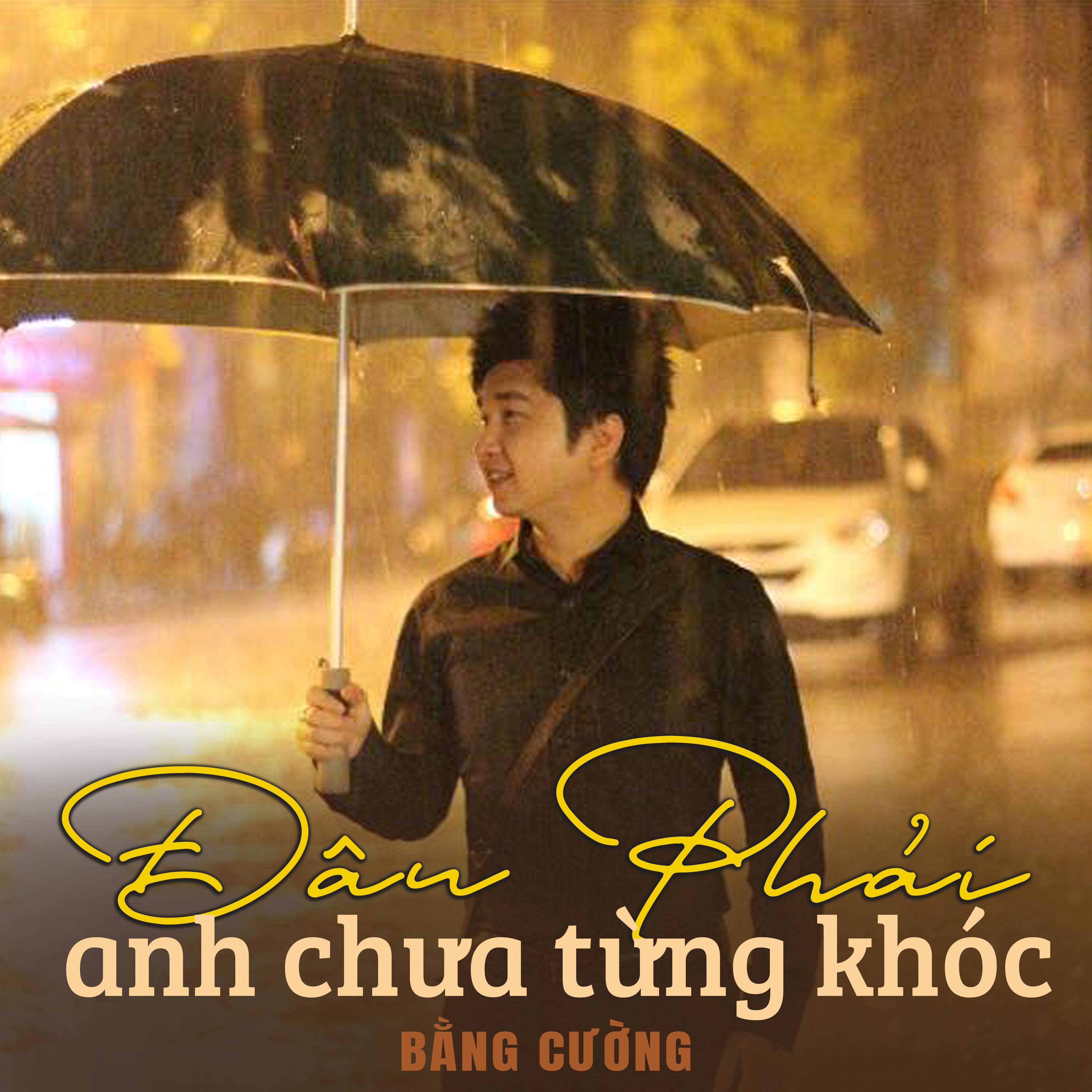 Đâu phải anh chưa khóc