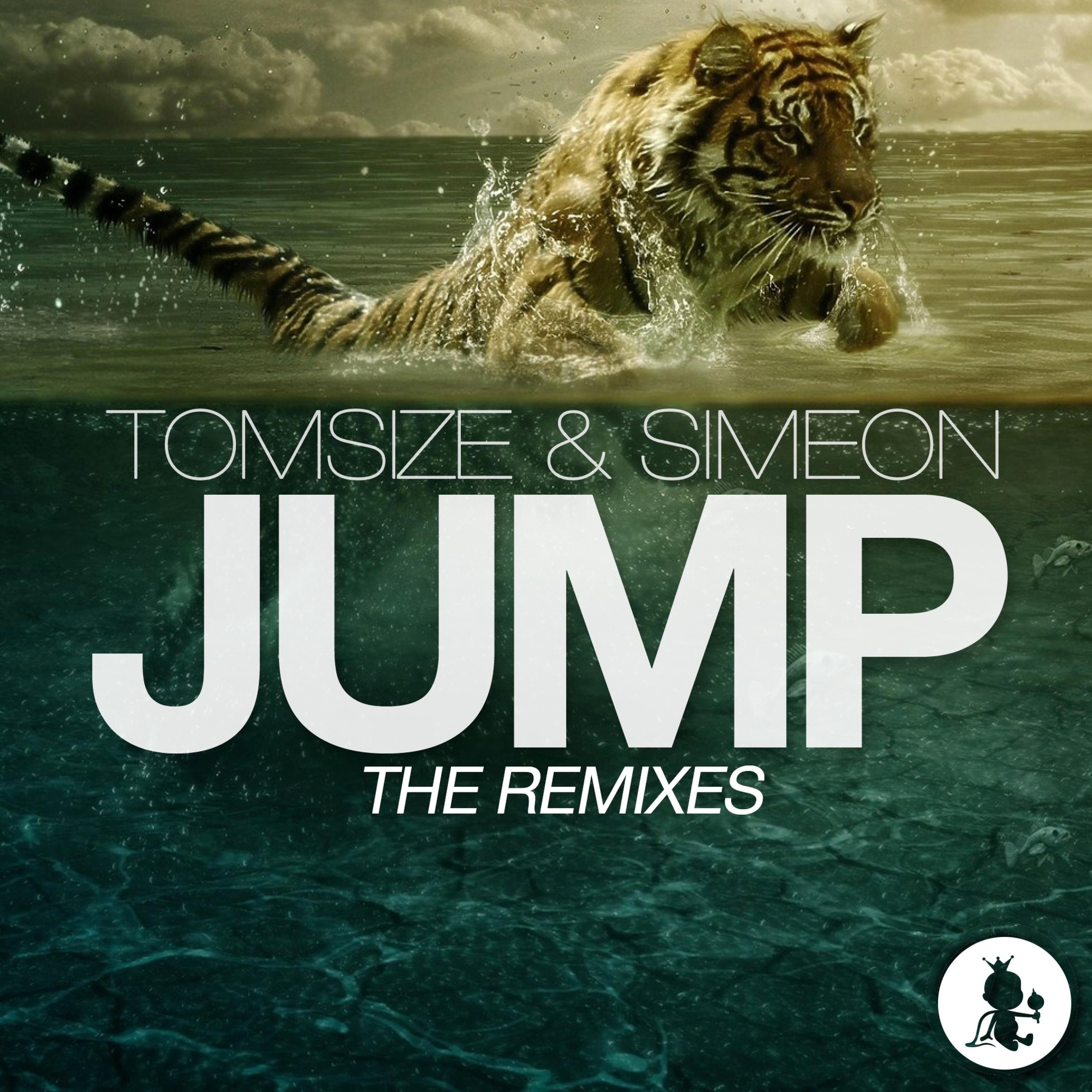 Tomsize - Jump (Skan Remix)