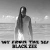 Black Zee - Take me away