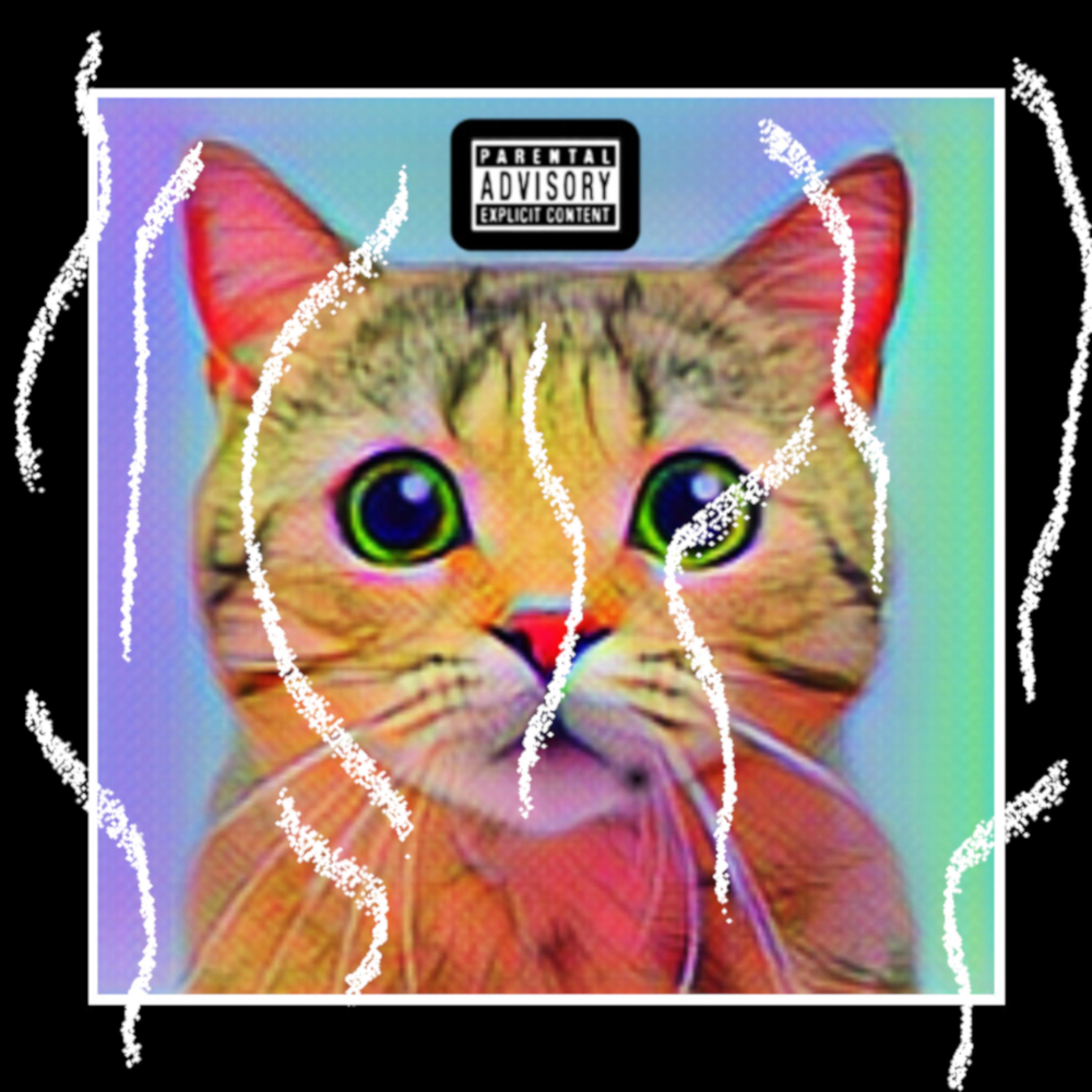 Meow (feat. 1omagik & Babo DeVone)