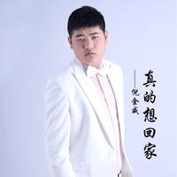 倪金威 - 真的想回家(原版立体声伴奏)