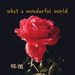 What A Wonderful World专辑