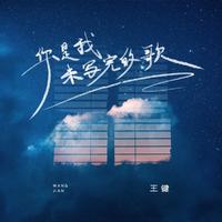 王键 - 你是我未写完的歌 (伴奏)