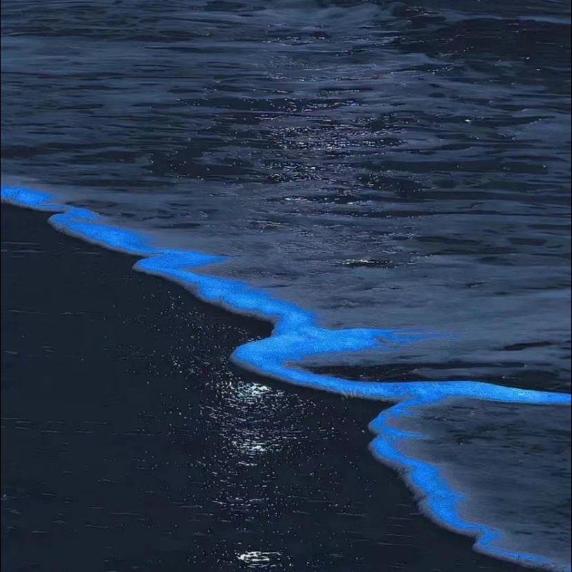 虚拟