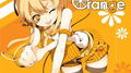 Brilliant Orange专辑