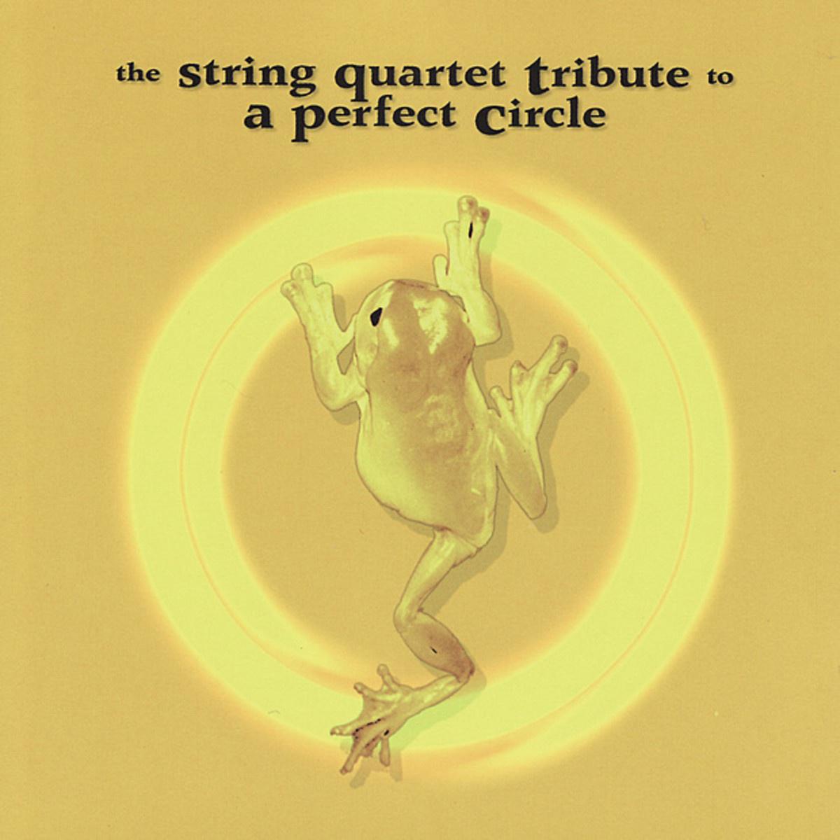 The String Quartet Tribute to A Perfect Circle专辑