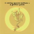 The String Quartet Tribute to A Perfect Circle