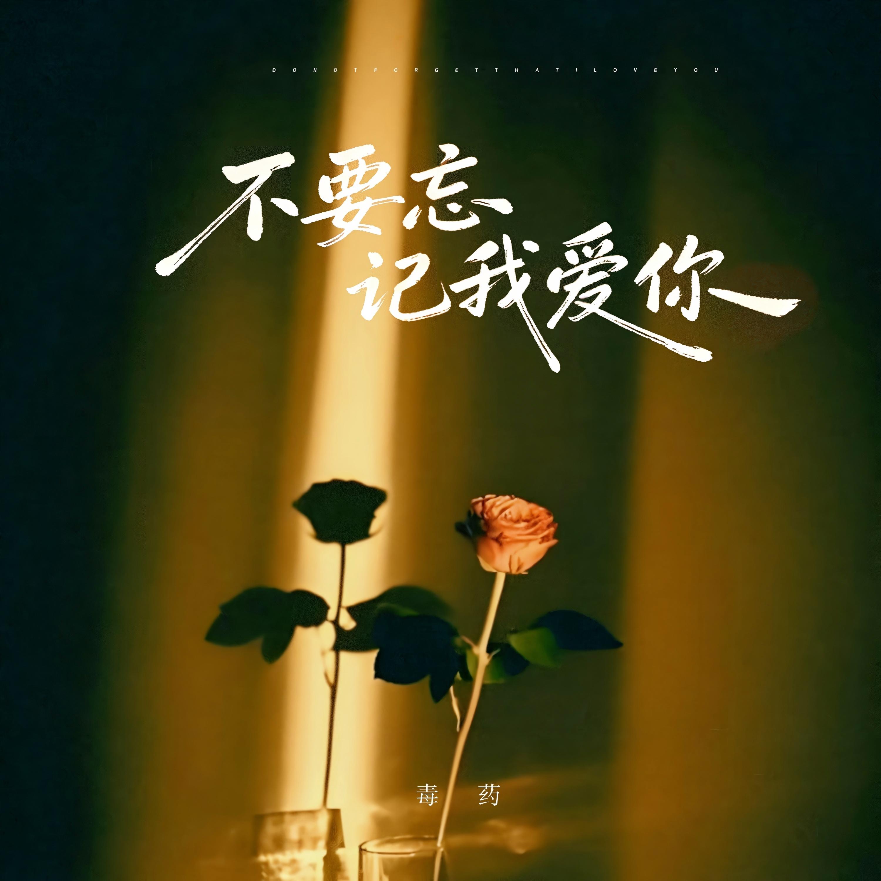 不要忘记我爱你