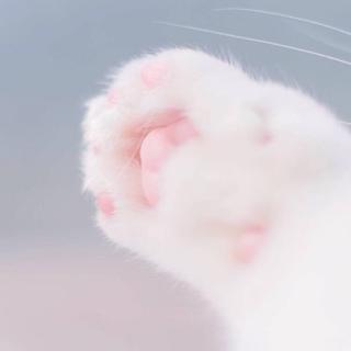 超甜Rap｜♥︎给 喜 歡 的 人 听 ♥︎