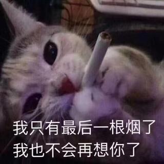 都是你害的