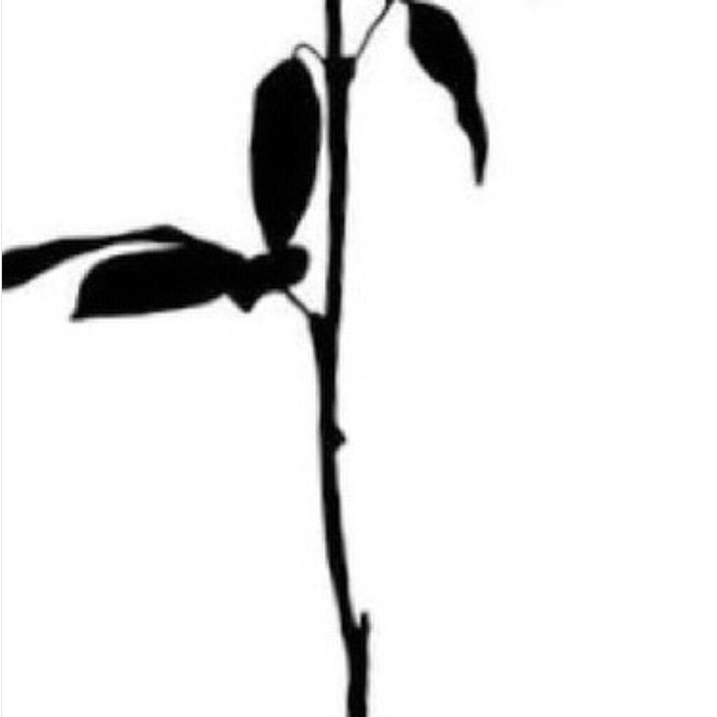 「心无属，意斑斓」