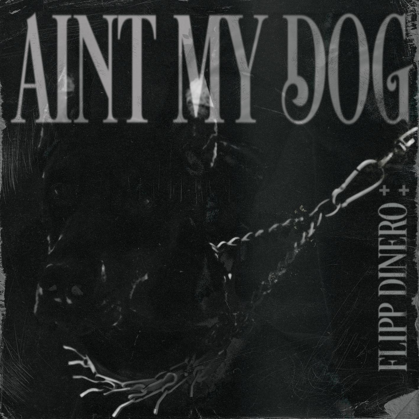 Flipp Dinero - Ain't My Dog