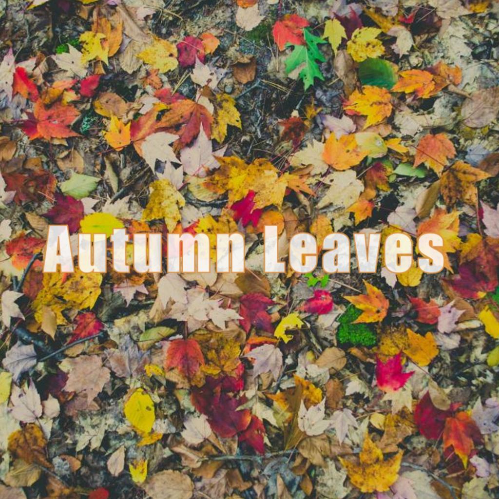 Autumn Leaves丨Jazz Standards