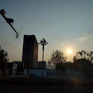 我听见玫瑰低语，于是我把它夹在了日记本里