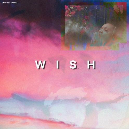 wish 专辑