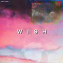 wish 专辑