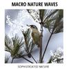 Familiar Waves Nature Music - Far Away from South Carolina Beach