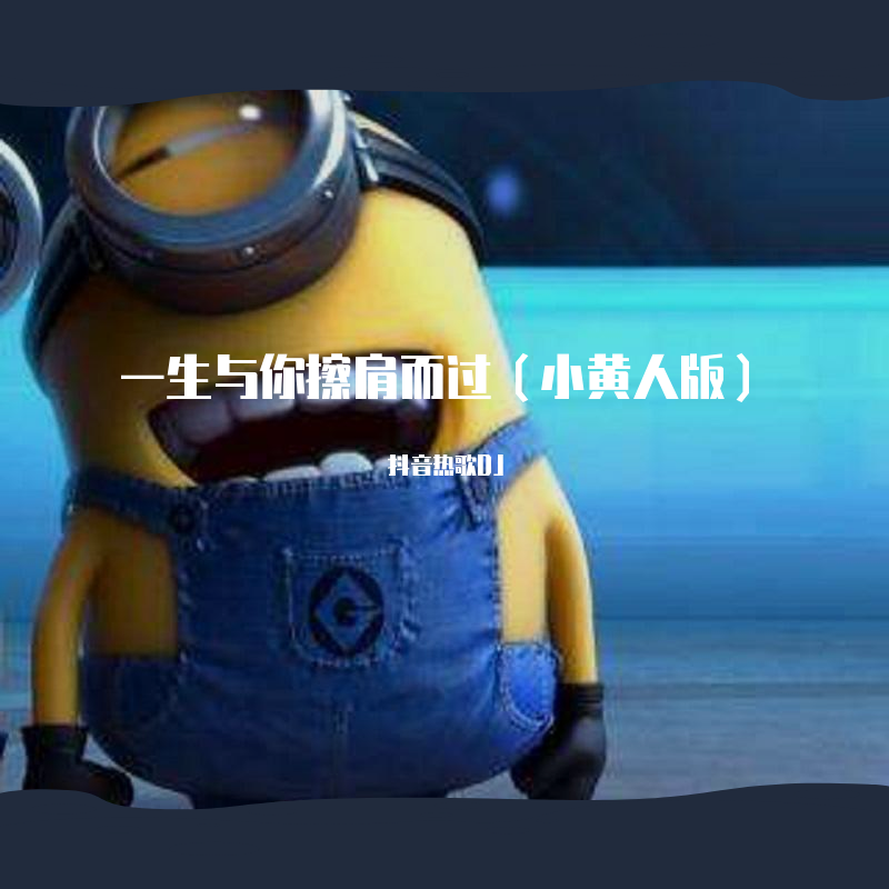 一生与你擦肩而过（小黄人版）
