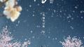 【剑三】江山雪专辑