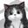 每逢佳节必玩猫
