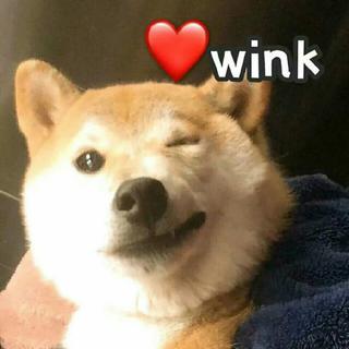 想藏在心里的宝藏啊.♡